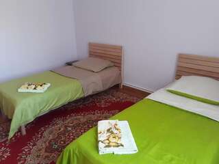 Отели типа «постель и завтрак» Green Dilijan B&B Дилижан Двухместный номер Делюкс с 2 отдельными кроватями-4